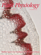 Cover of Plant Physiology, featuring study using the protocol.