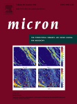 Cover of Micron, featuring study using the protocol.