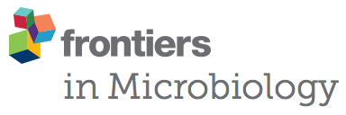 Cover of Frontiers in Microbiology, featuring study using the protocol.