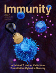 Cover of Immunity, featuring study using the protocol.