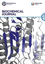 Cover of Biochemical Journal, featuring study using the protocol.