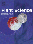 Cover of Plant Science, featuring study using the protocol.