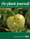 Cover of The Plant Journal, featuring study using the protocol.