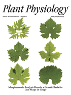 Cover of Plant Physiology, featuring study using the protocol.
