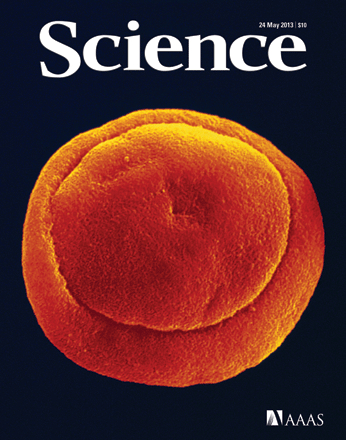 Cover of Nature Medicine, featuring study using the protocol.