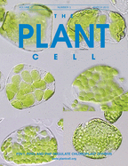 Cover of The Plant Cell, featuring study using the protocol.