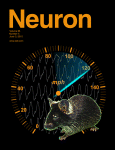 Cover of Neuron, featuring study using the protocol.