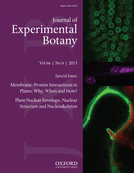 Cover of Journal of Experimental Botany, featuring study using the protocol.