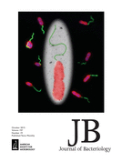 Cover of Journal of Bacteriology, featuring study using the protocol.