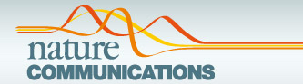 Cover of Nature Communications, featuring study using the protocol.