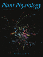 Cover of Plant Physiology, featuring study using the protocol.