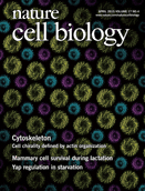 Cover of Nature Cell Biology, featuring study using the protocol.