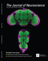 Cover of The Journal of Neuroscience, featuring study using the protocol.