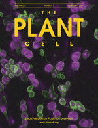 Cover of The Plant Cell, featuring study using the protocol.