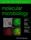 Cover of Molecular Microbiology, featuring study using the protocol.