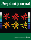 Cover of The Plant Journal, featuring study using the protocol.