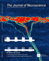 Cover of The Journal of Neuroscience, featuring study using the protocol.