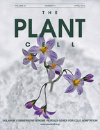 Cover of The Plant Cell, featuring study using the protocol.