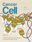 Cover of Cancer Cell, featuring study using the protocol.