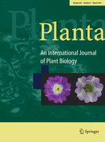 Cover of Planta, featuring study using the protocol.