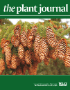Cover of The Plant Journal, featuring study using the protocol.