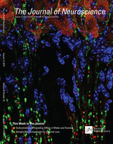 Cover of The Journal of Neuroscience, featuring study using the protocol.