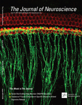 Cover of The Journal of Neuroscience, featuring study using the protocol.