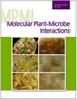 Cover of Molecular Plant Microbe Interactions, featuring study using the protocol.