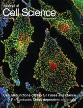 Cover of Journal of Cell Science, featuring study using the protocol.