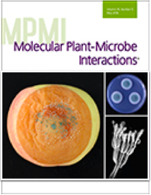 Cover of Molecular Plant Microbe Interactions, featuring study using the protocol.