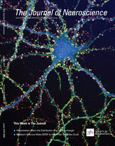 Cover of The Journal of Neuroscience, featuring study using the protocol.