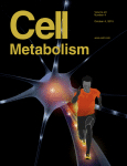 Cover of Cell Metabolism, featuring study using the protocol.