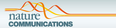 Cover of Nature Communications, featuring study using the protocol.
