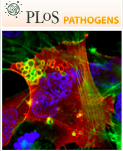 Cover of PLOS Pathogens, featuring study using the protocol.