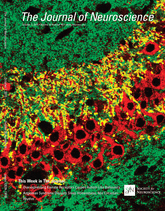 Cover of The Journal of Neuroscience, featuring study using the protocol.