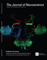 Cover of The Journal of Neuroscience, featuring study using the protocol.