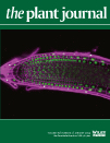 Cover of The Plant Journal, featuring study using the protocol.