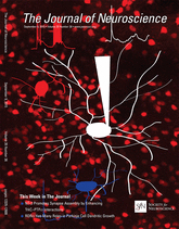 Cover of The Journal of Neuroscience, featuring study using the protocol.