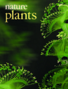 Cover of Nature Plants, featuring study using the protocol.