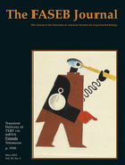 Cover of The FASEB Journal, featuring study using the protocol.