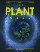 Cover of The Plant Cell, featuring study using the protocol.