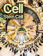 Cover of Cell Stem Cell, featuring study using the protocol.