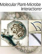 Cover of Molecular Plant Microbe Interactions, featuring study using the protocol.
