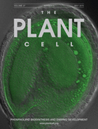 Cover of The Plant Cell, featuring study using the protocol.