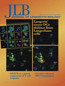 Cover of Journal of Leukocyte Biology, featuring study using the protocol.