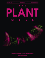 Cover of The Plant Cell, featuring study using the protocol.