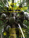 Cover of New Phytologist, featuring study using the protocol.