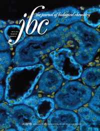 Cover of The Journal of Biological Chemistry, featuring study using the protocol.