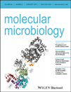 Cover of Molecular Microbiology, featuring study using the protocol.
