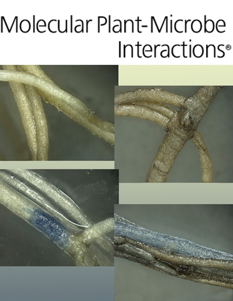 Cover of Molecular Plant Microbe Interactions, featuring study using the protocol.